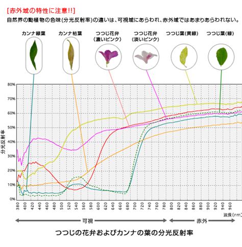 赤外線水分計 植物|近赤外域の分光反射特性による植物の葉内水分量の推定.